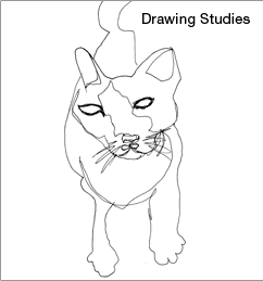 Drawing Studies